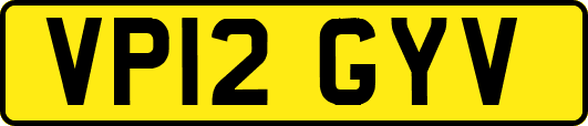 VP12GYV