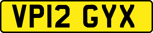 VP12GYX