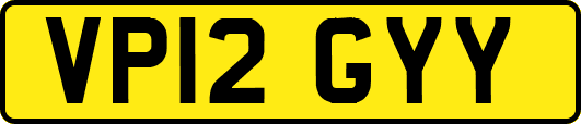 VP12GYY