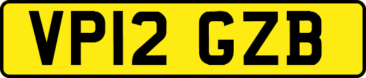 VP12GZB