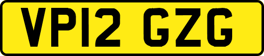 VP12GZG