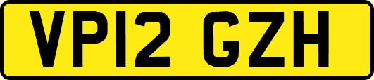 VP12GZH