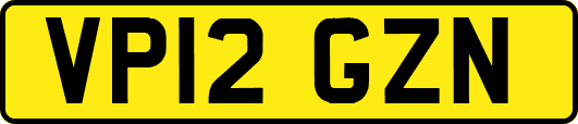 VP12GZN
