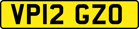 VP12GZO