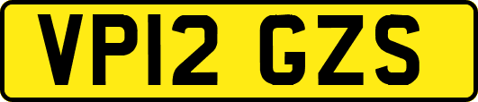 VP12GZS