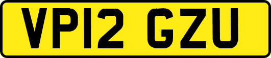 VP12GZU