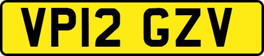 VP12GZV