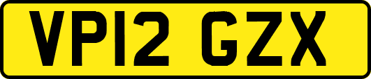 VP12GZX