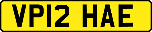 VP12HAE