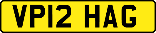 VP12HAG