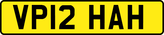 VP12HAH