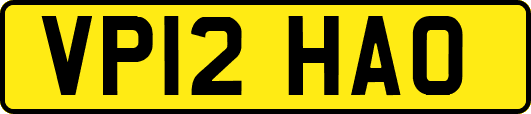 VP12HAO