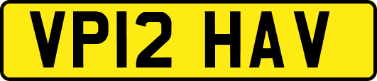 VP12HAV