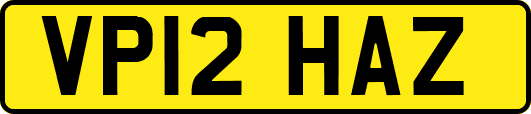 VP12HAZ