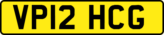 VP12HCG