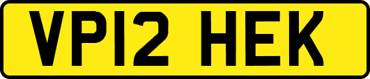 VP12HEK