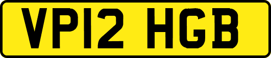 VP12HGB