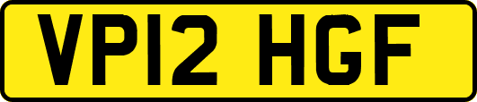 VP12HGF