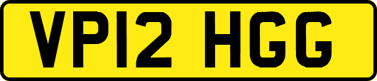 VP12HGG