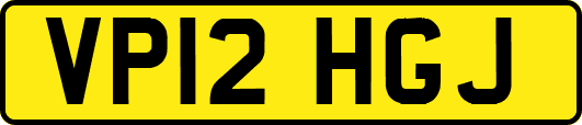 VP12HGJ