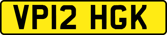 VP12HGK