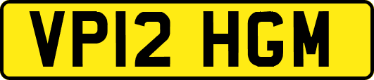 VP12HGM