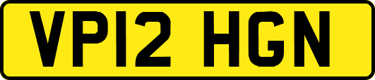 VP12HGN