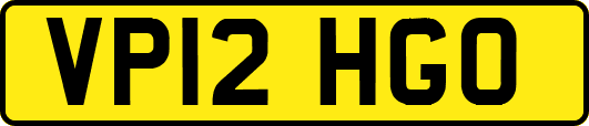 VP12HGO