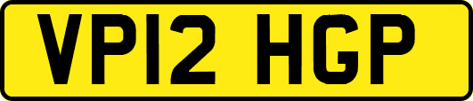 VP12HGP
