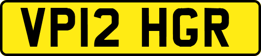 VP12HGR