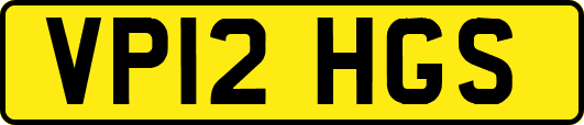 VP12HGS