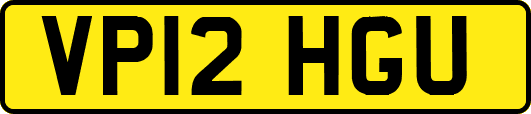VP12HGU