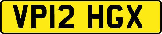 VP12HGX