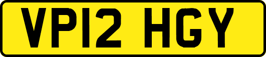 VP12HGY