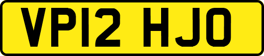 VP12HJO