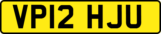 VP12HJU