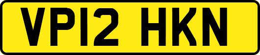 VP12HKN