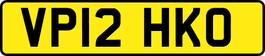 VP12HKO