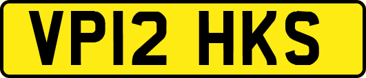 VP12HKS