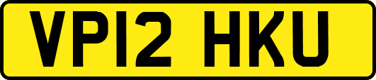 VP12HKU
