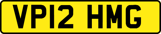 VP12HMG