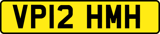 VP12HMH