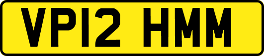 VP12HMM