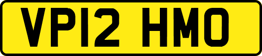 VP12HMO