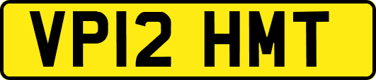 VP12HMT