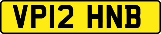 VP12HNB