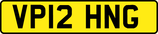 VP12HNG