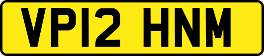 VP12HNM