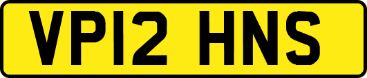 VP12HNS