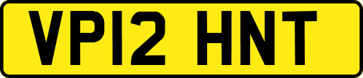 VP12HNT